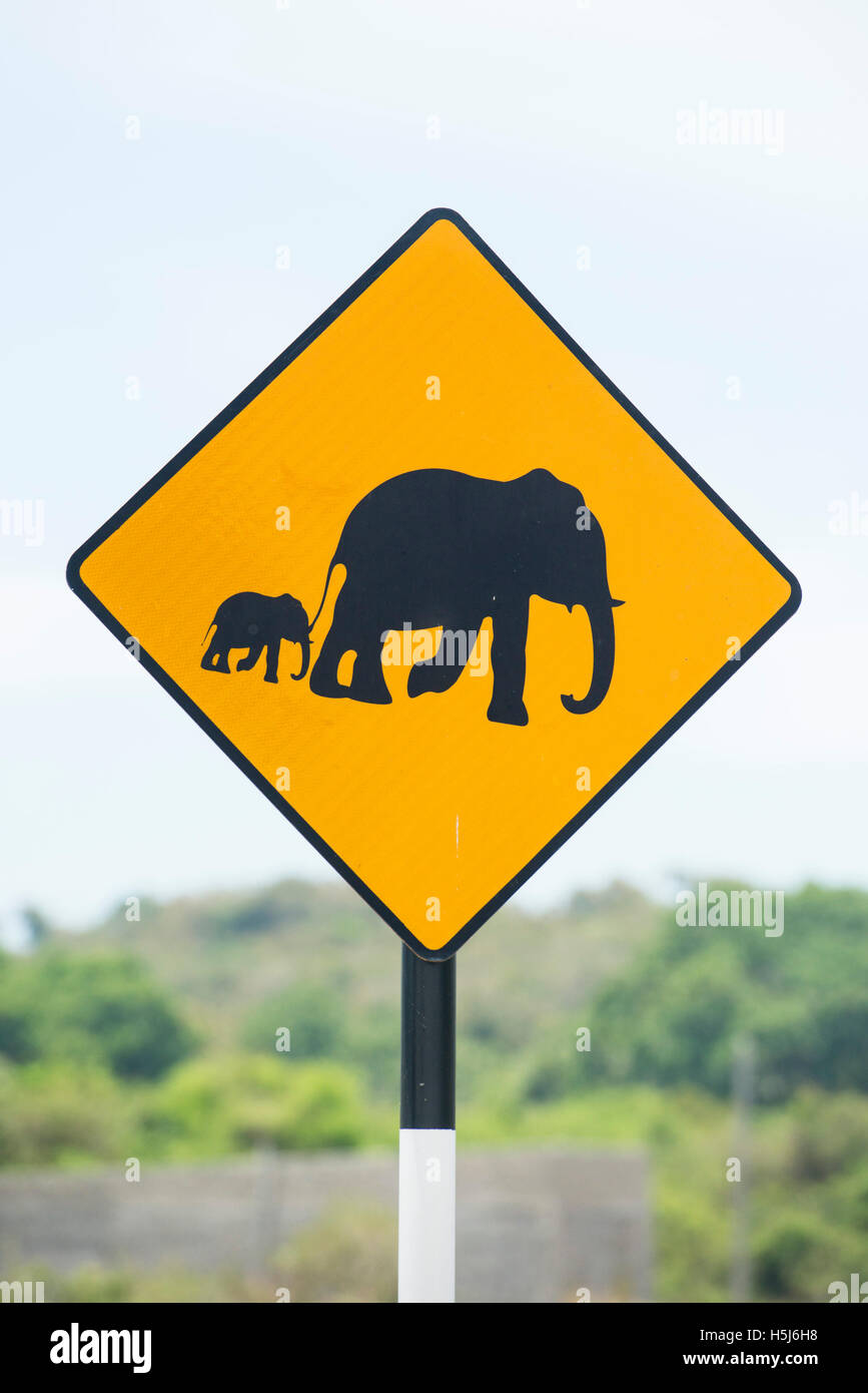 Cartello di avvertimento della scheda per gli elefanti, Sri Lanka Foto Stock