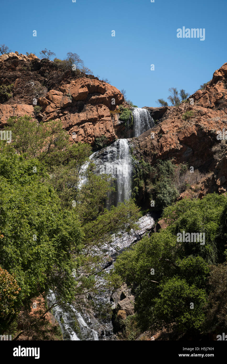 Il Witpoortjie cade a Walter Sisulu Giardino Botanico Nazionale Foto Stock