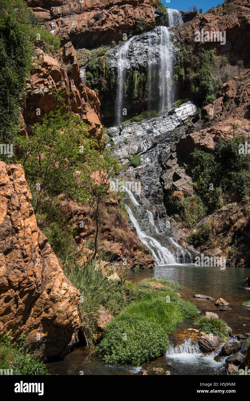 La splendida cascata in Walter Sisulu Giardino Botanico Foto Stock
