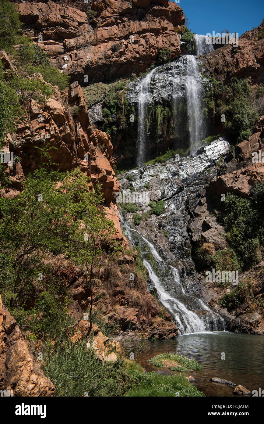La splendida cascata in Walter Sisulu Giardino Botanico Foto Stock