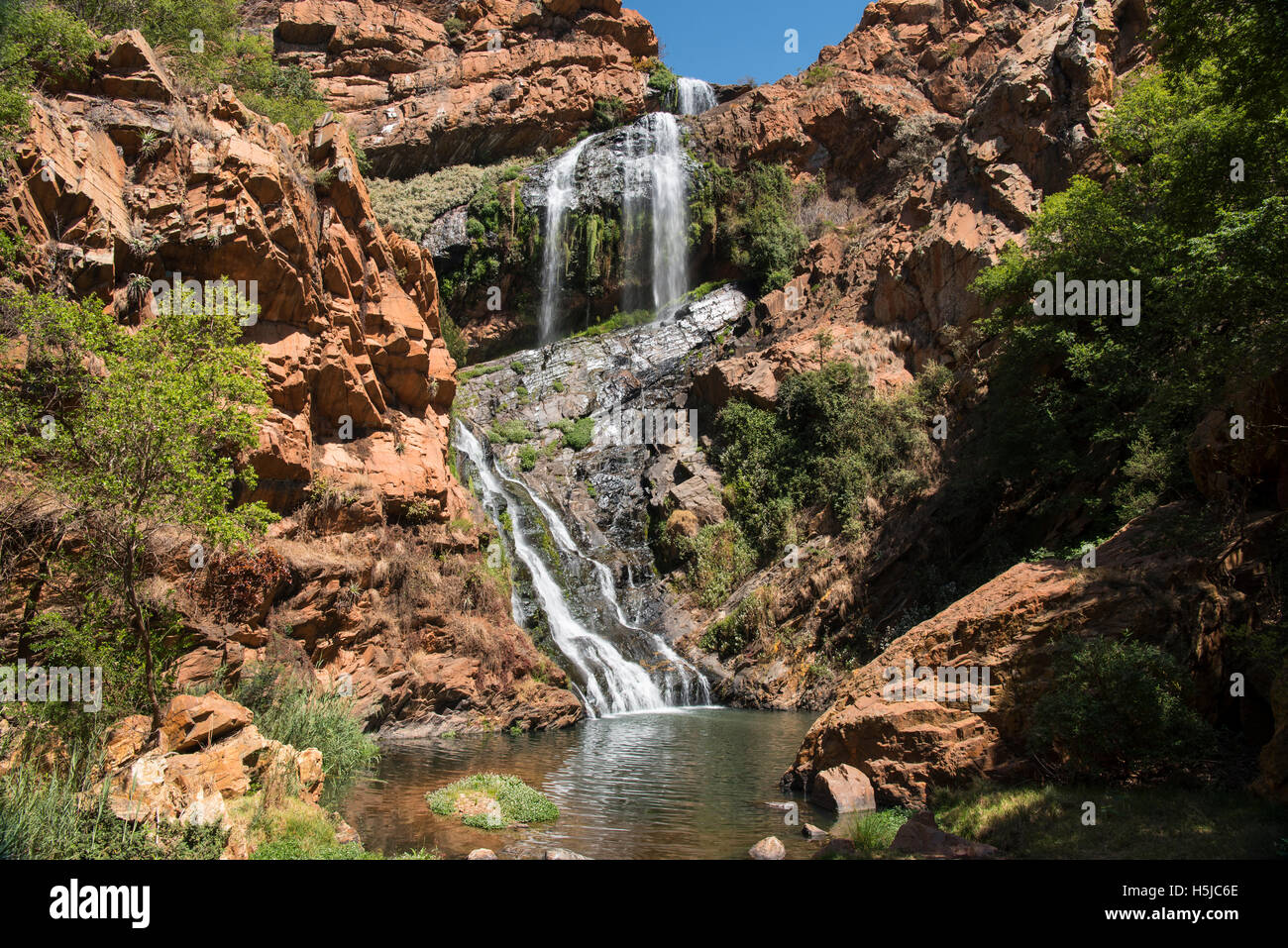 Paesaggio panoramico della cascata presso la Walter Sisulu Giardino Botanico Nazionale Foto Stock