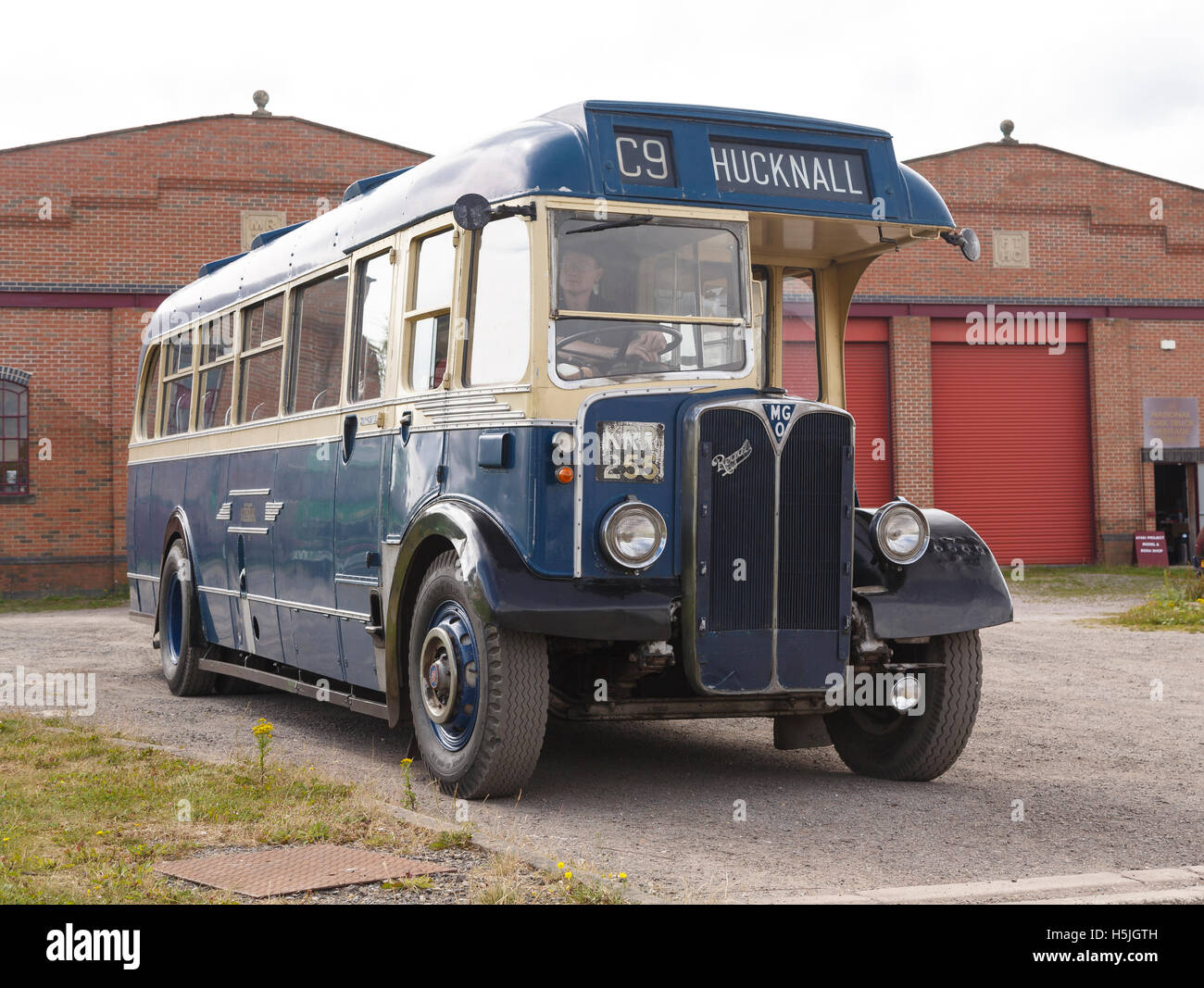 1949 AEC Regal single decker bus, conservati presso la ferrovia Midland Center, Derbyshire Foto Stock