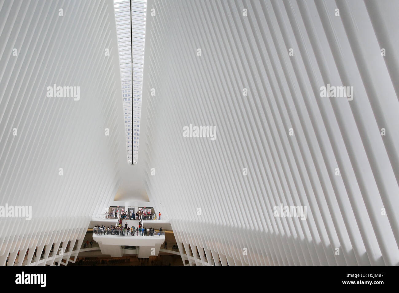 Occhio, il trasporto hub dall'architetto Santiago Calatrava, al WTC 9/11 Memorial Plaza, Manhattan New York City Foto Stock