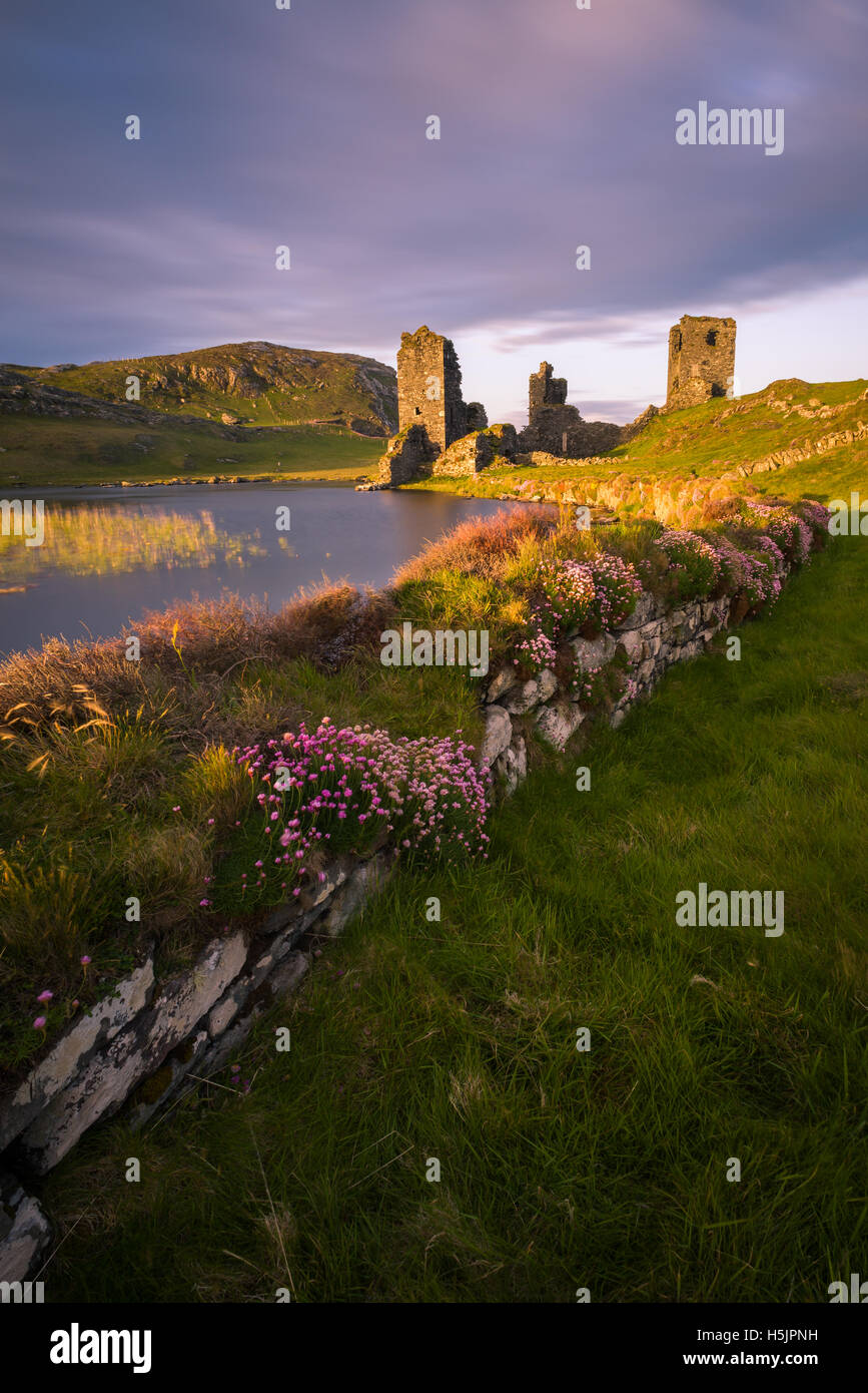 Dunlough Castle - tre castelli West Cork, Irlanda Foto Stock