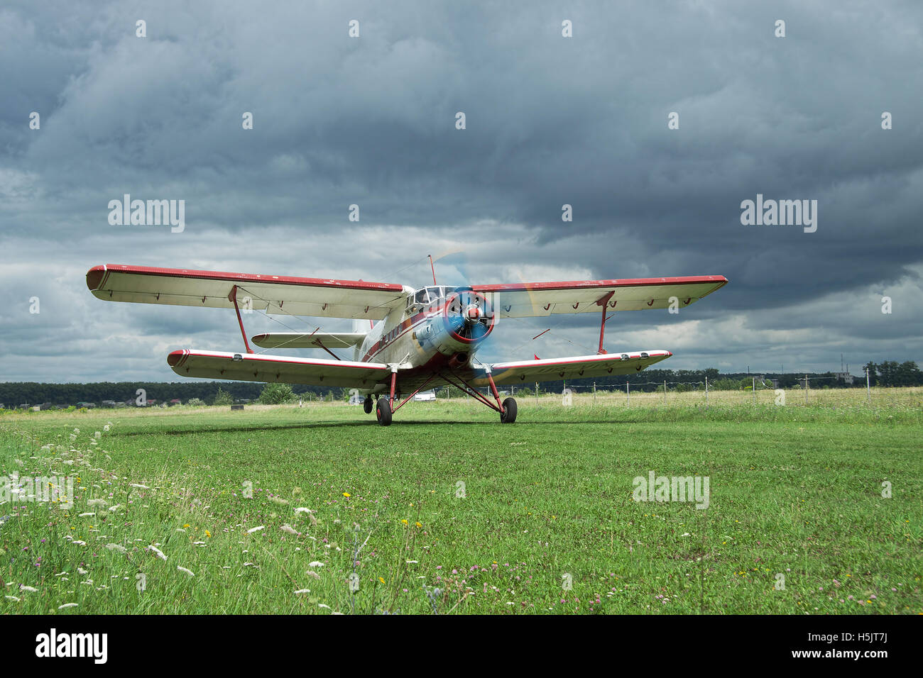 Zhitomir, Ucraina - 31 Luglio 2011: Antonov An-2 biplano è tenuto fuori dalla pista di atterraggio per aerei di erba Foto Stock