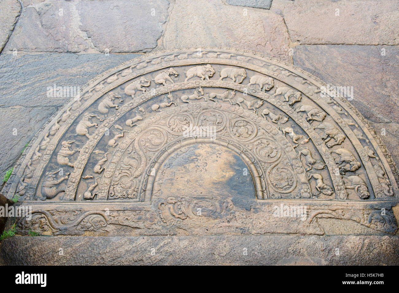 La pietra di luna, il Vatadage (circolare reliquia casa) nel sacro quadrangolo nell'antica città di Polonnaruwa, Sri Lanka Foto Stock