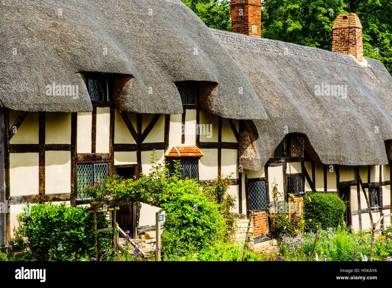 Anne Hathaway's Cottage con il tetto di paglia, Newlands, Stratford-upon-Avon, Warwickshire Foto Stock