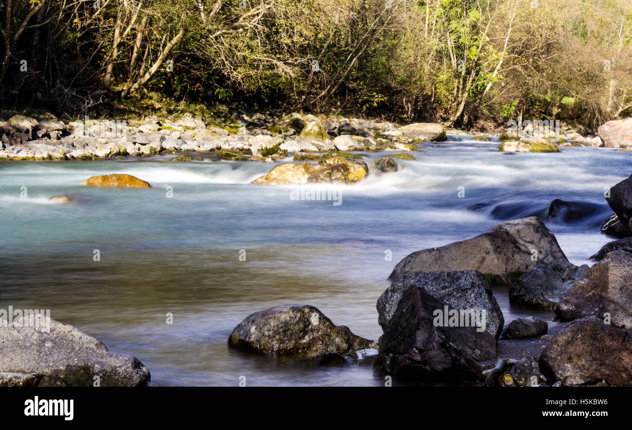 Foresta Fiume lungo Exp. in Alto Adige Foto Stock