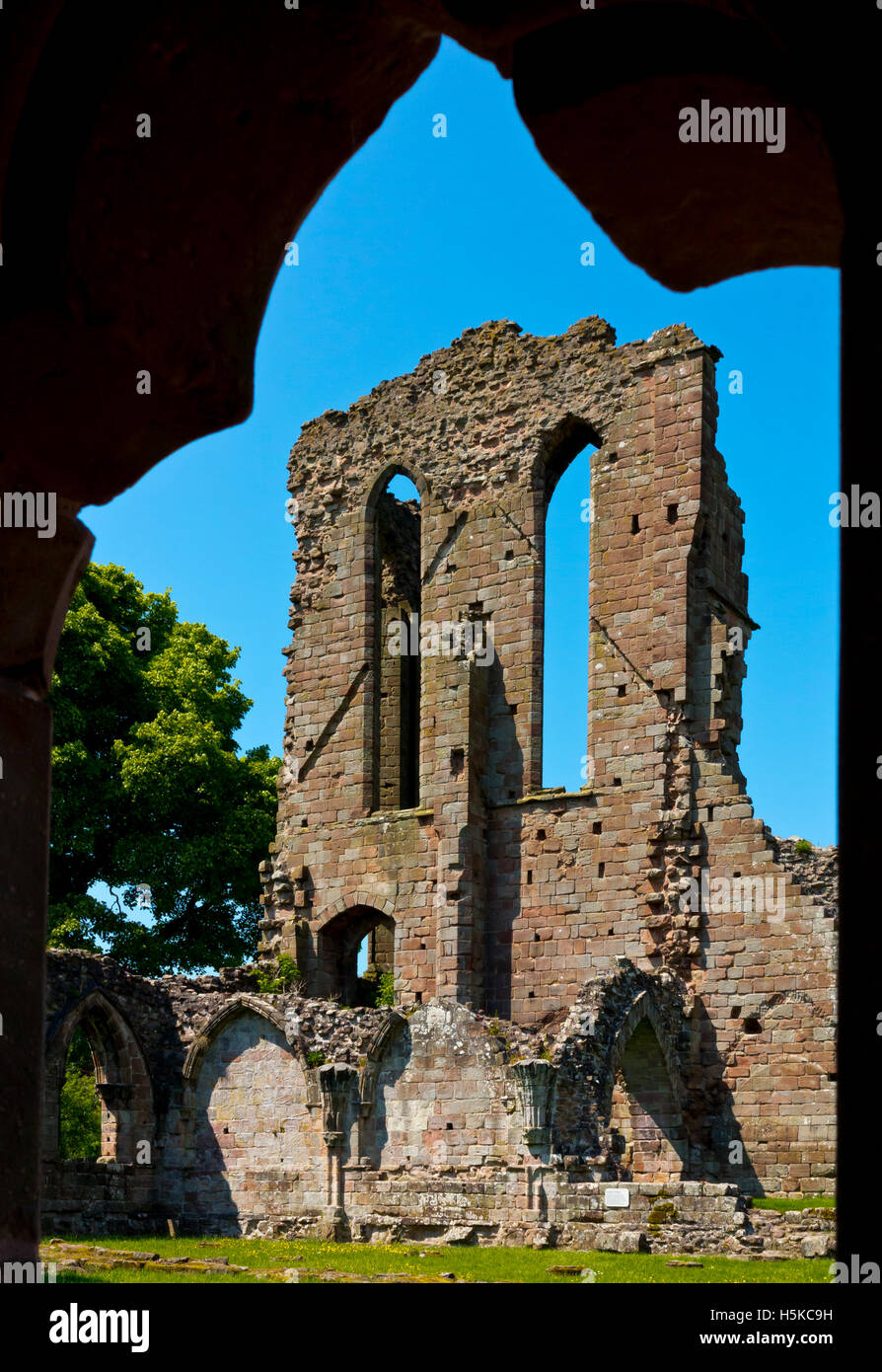 Rovine di Croxden Abbey Staffordshire Inghilterra monastero cistercense fondata nel XII secolo dai de Verdun famiglia sciolto 1538 Foto Stock