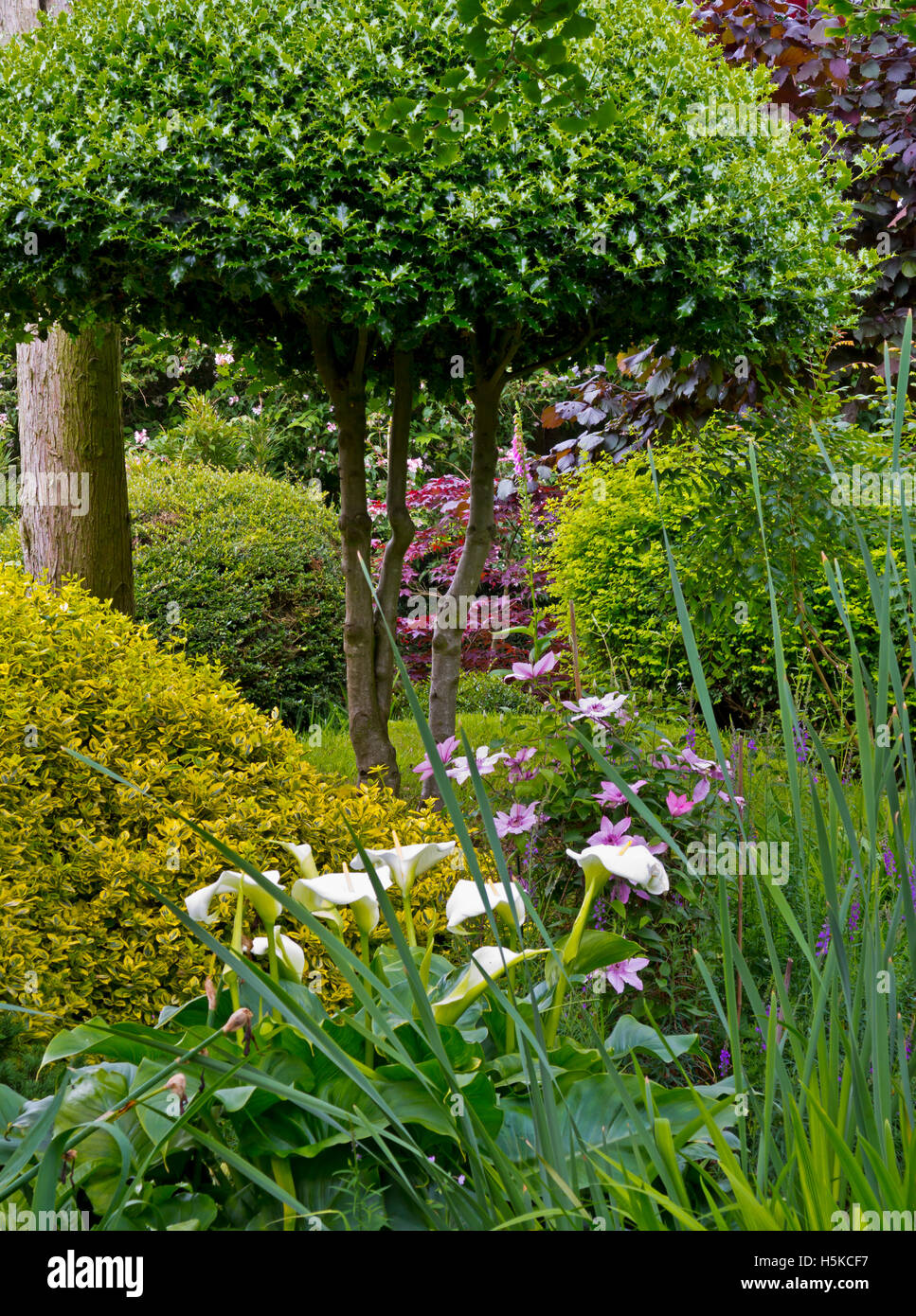 Pura Terra Centro di Meditazione e un giardino giapponese vicino a Newark Nottinghamshire England Regno Unito Foto Stock