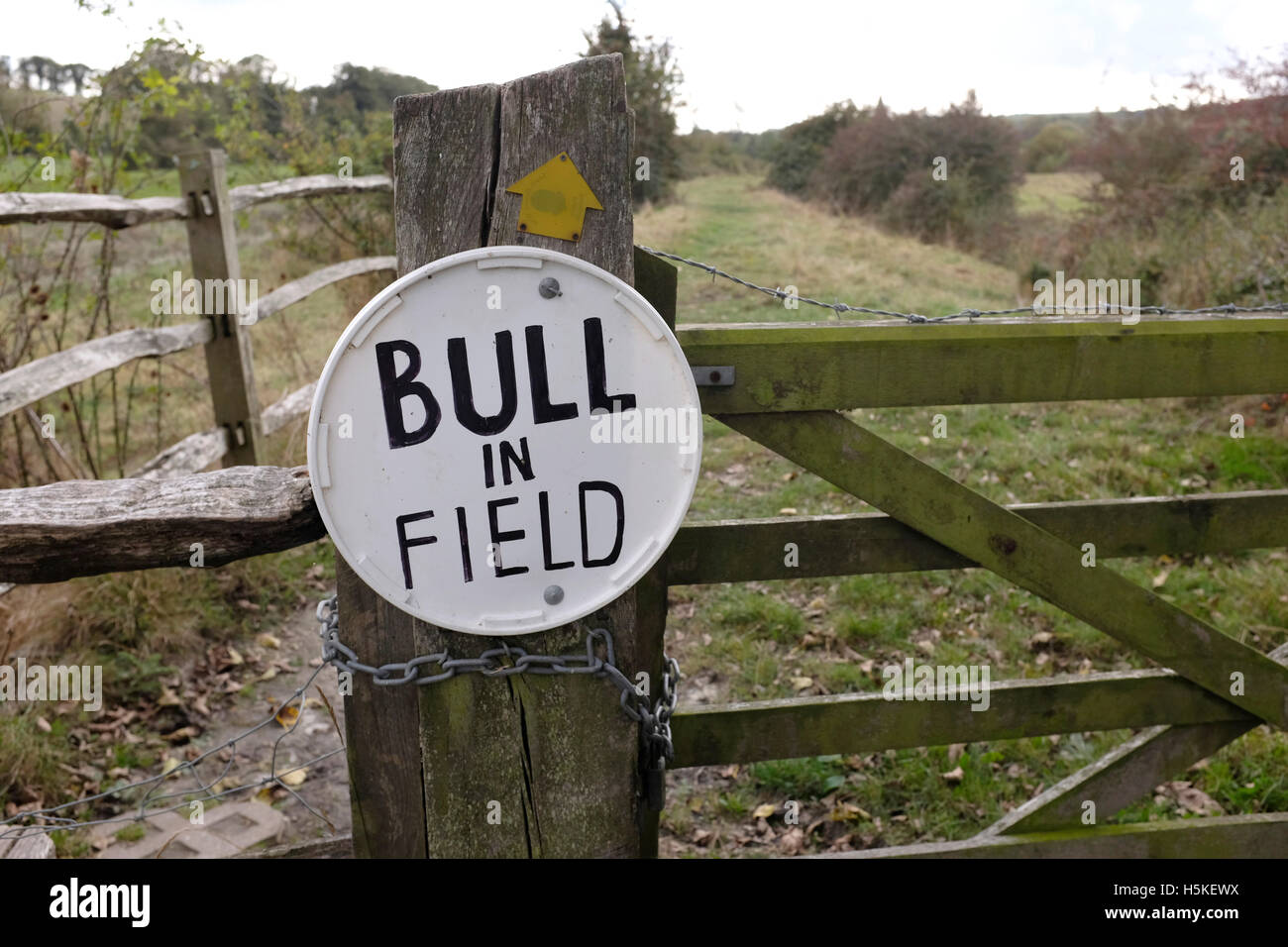 Bull nel campo Segnale di avvertimento sulla porta a Alfriston East Sussex Regno Unito Foto Stock