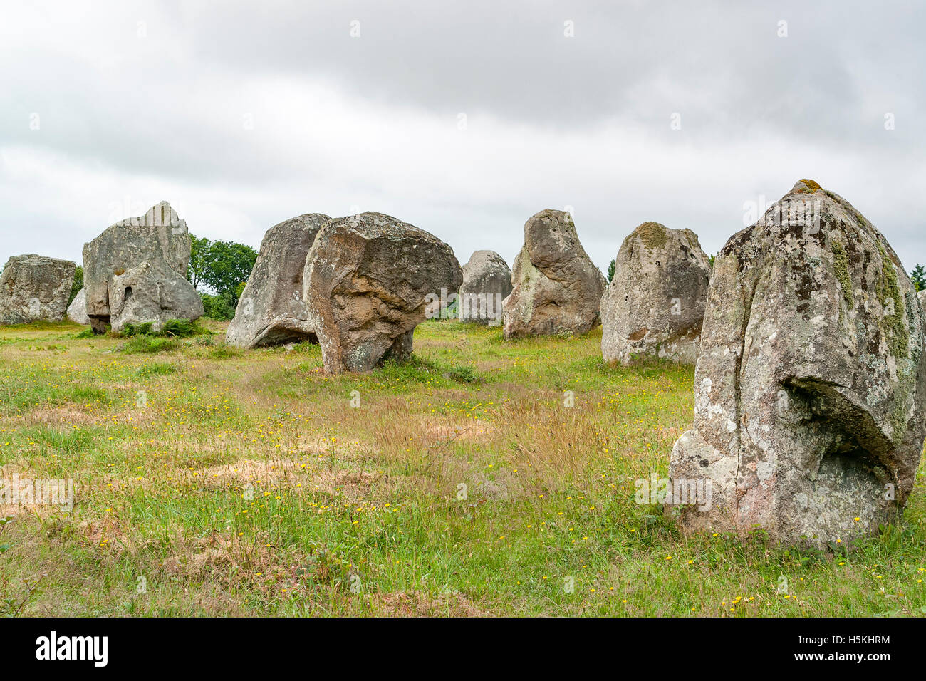 Paesaggio intorno le pietre di Carnac, un sito megalitico in Bretagna, Francia Foto Stock