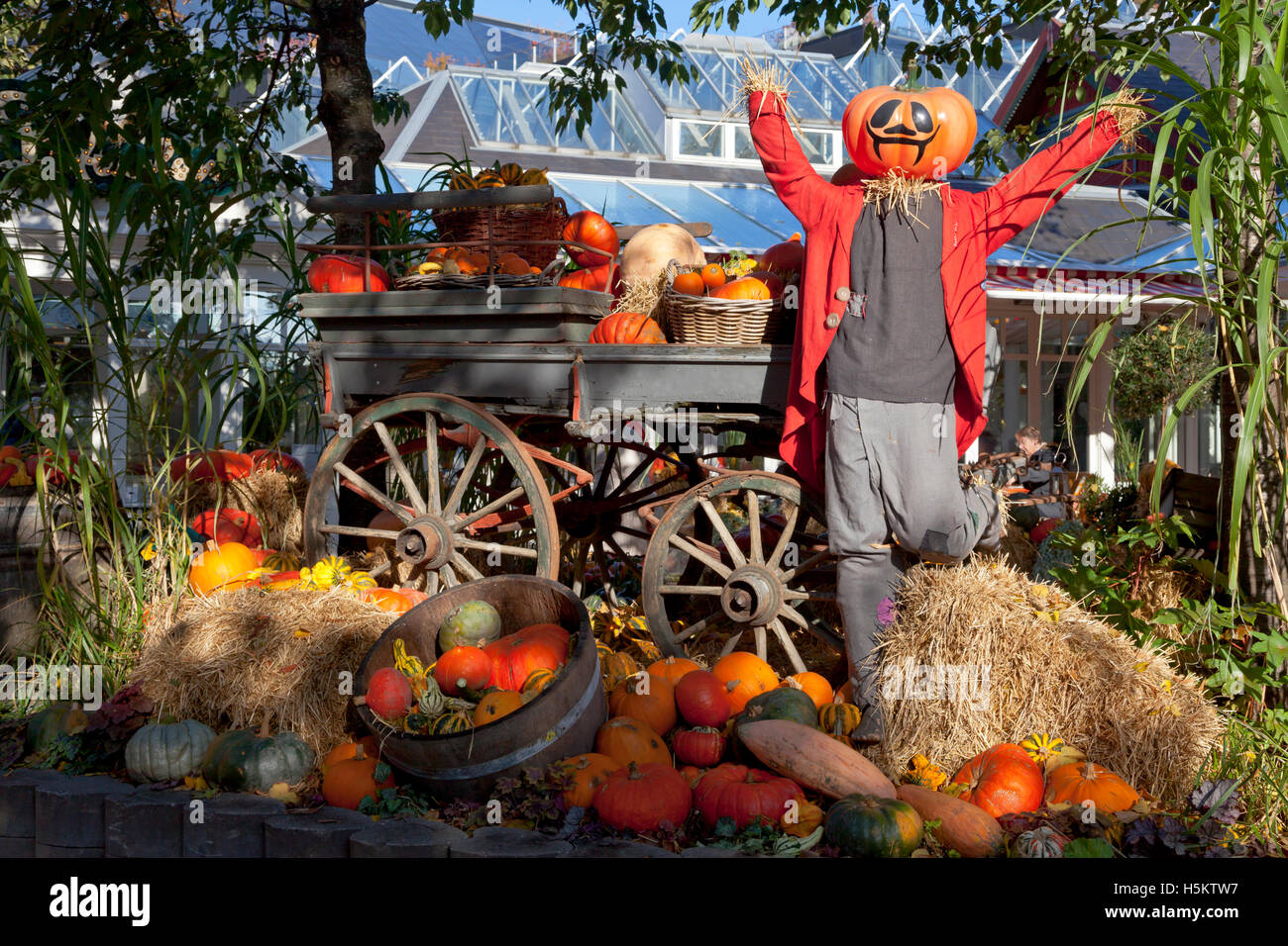 Uomo di zucca dopo il raccolto di zucca in giardini di Tivoli, Copenaghen, su un soleggiato alla fine di ottobre al giorno. Tema di Halloween. Foto Stock
