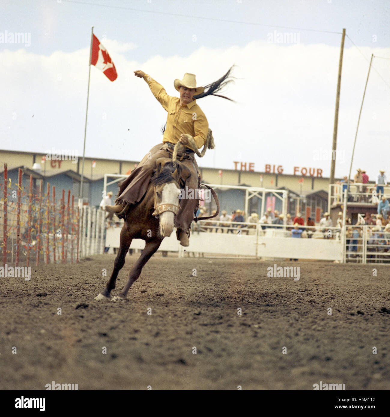 Un'immagine dinamica del Calgary Stampede, che mostra un bronco cavalcato da un cowboy. Questo evento iconico, che si tiene ad Alberta, Canada, è noto per le sue competizioni di rodeo e i tradizionali spettacoli occidentali. Foto Stock