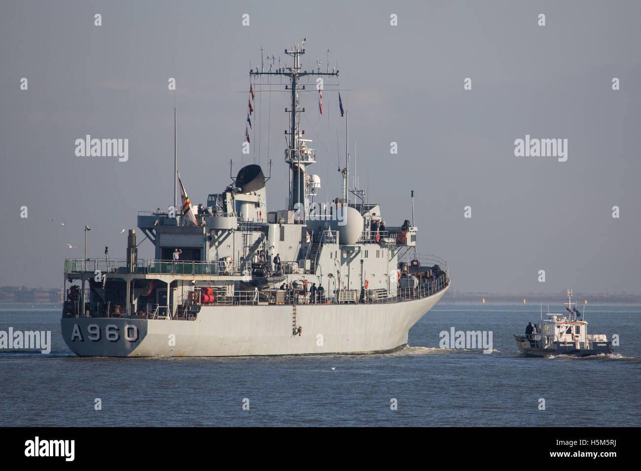 Nave belga Godetia (A960) sul Fiume Tamigi nel 2013 Foto Stock