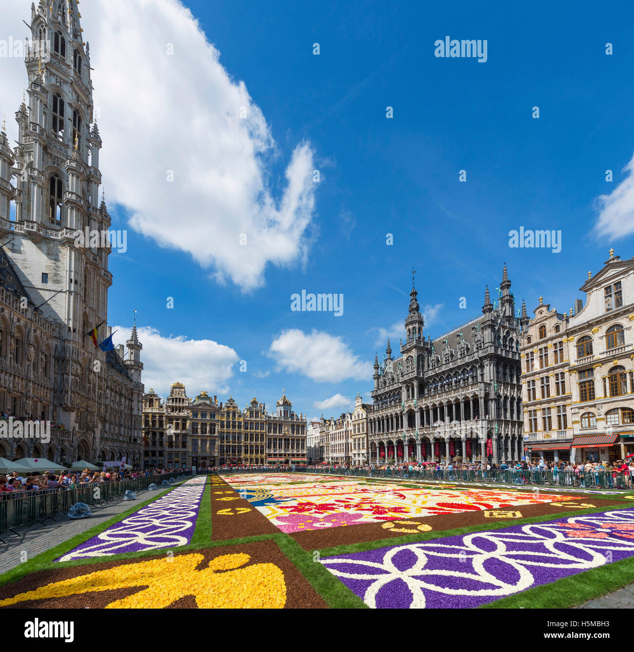 Il 2016 tappeto di fiori nella Grand Place (Grote Markt) con il Municipio a sinistra, Bruxelles, Belgio. Foto Stock