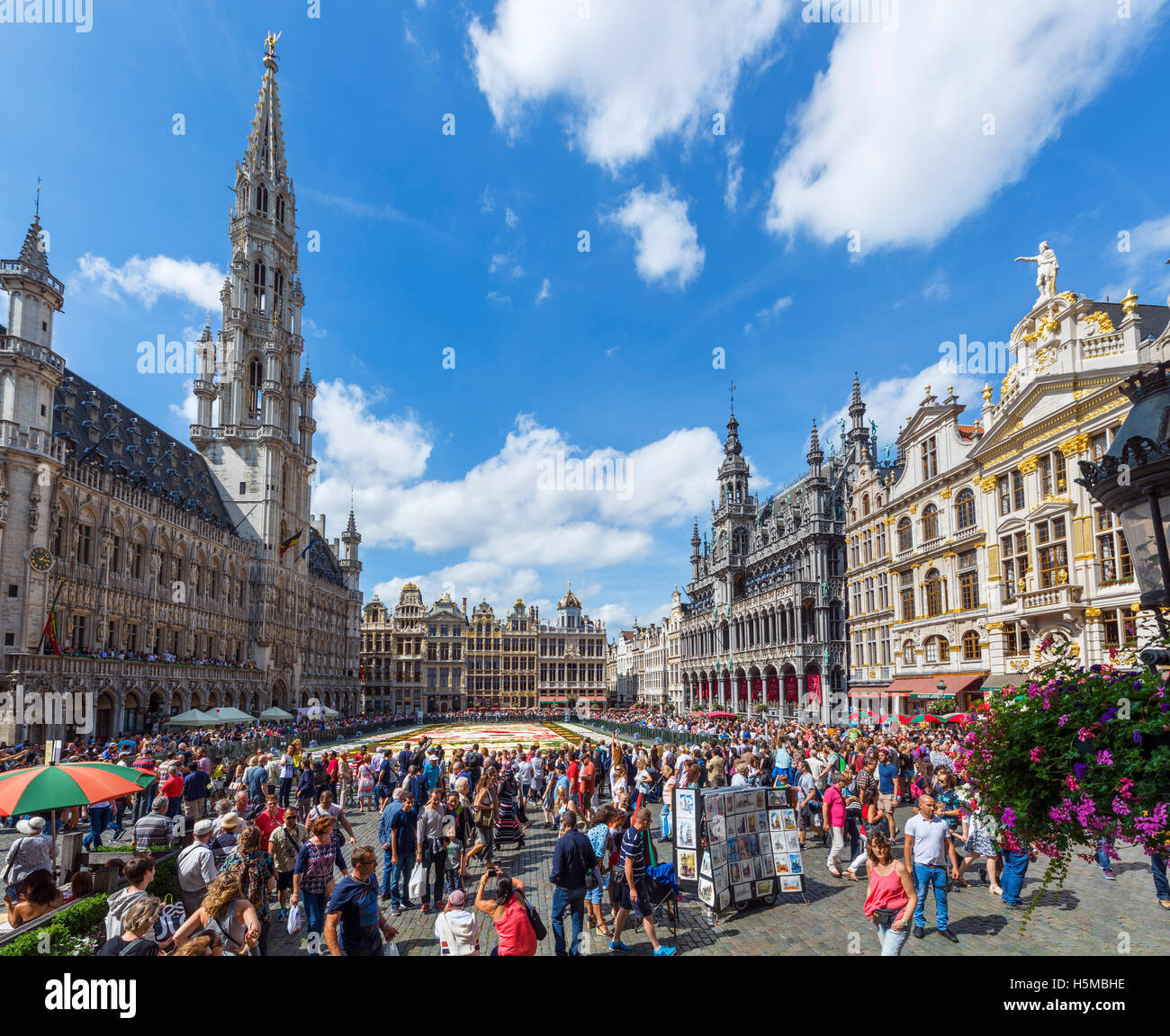 Il 2016 tappeto di fiori nella Grand Place (Grote Markt) con il Municipio a sinistra, Bruxelles, Belgio. Foto Stock