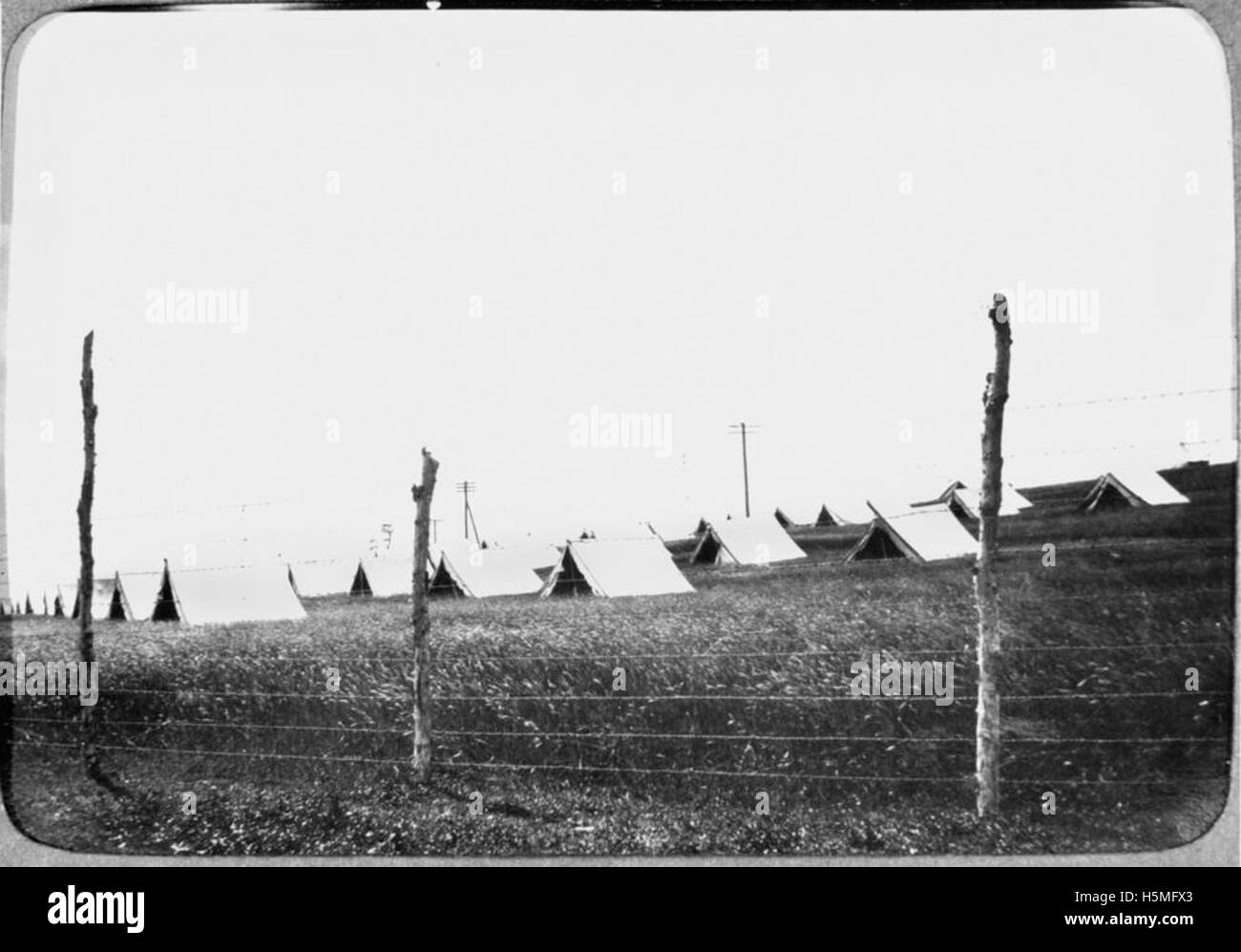 Nel 1919, le tende furono erette nel campo di quarantena di Lytton, una struttura utilizzata durante il periodo post-bellico per l'isolamento e la quarantena. Il campo ha svolto un ruolo nella gestione della salute pubblica durante la pandemia globale. Foto Stock