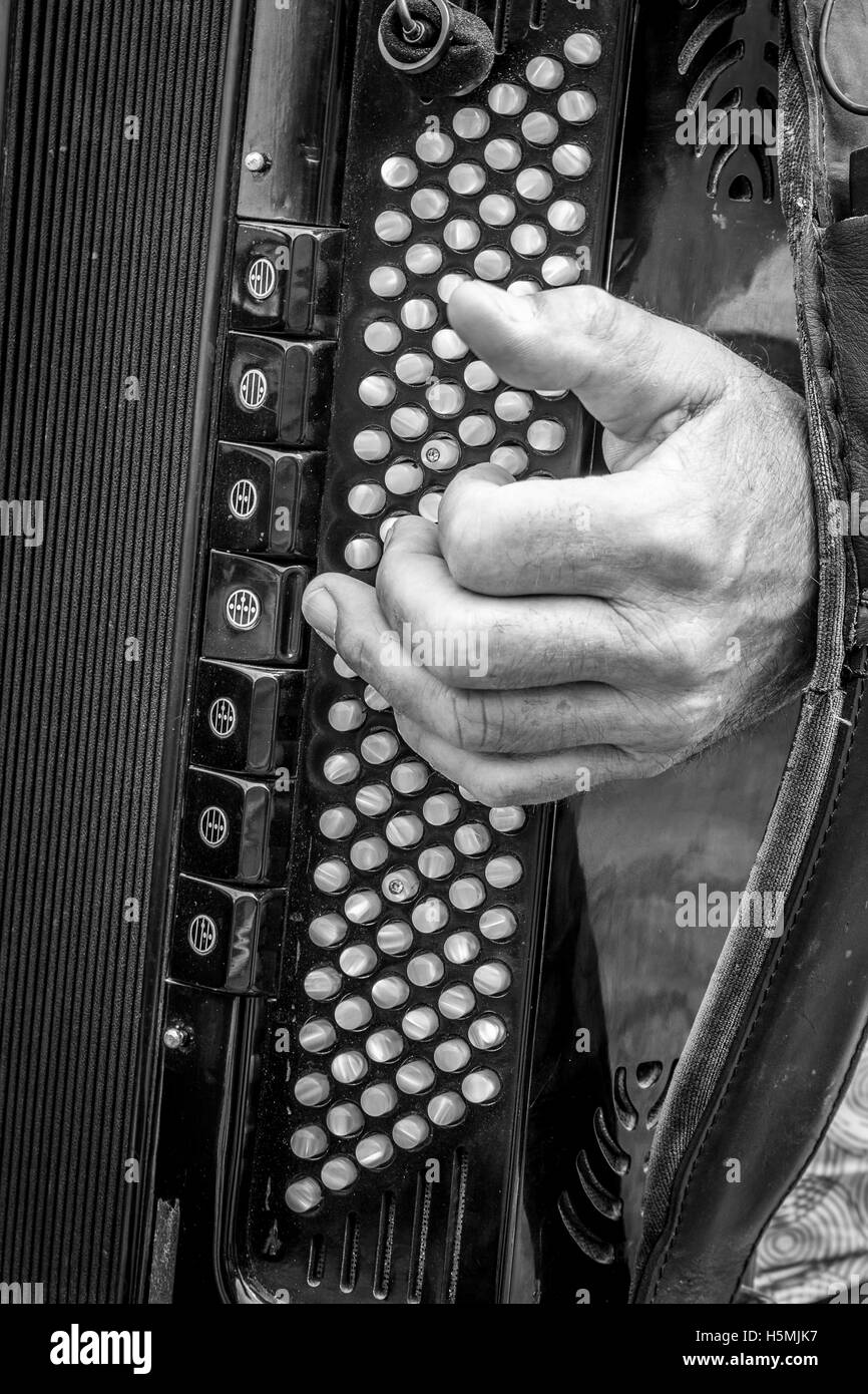 Musicista a suonare la fisarmonica squeeze box con pulsanti e tasti Foto Stock