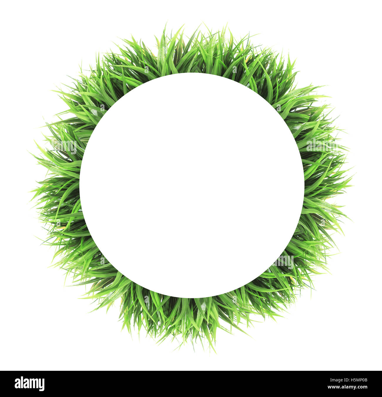 Cerchio verde erba telaio isolato su sfondo bianco Foto Stock