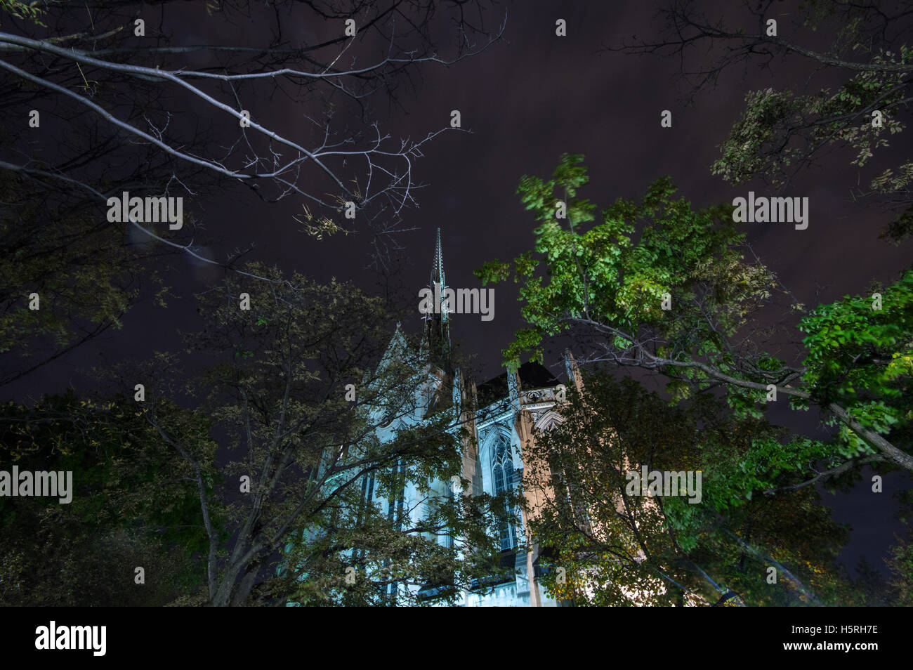 Heinz Memorial Chapel presso la University of Pittsburgh illuminata di notte Foto Stock