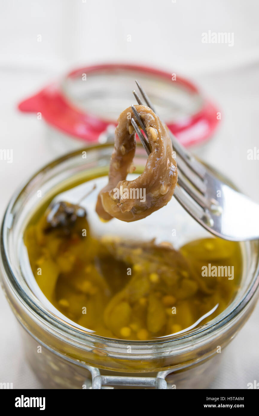 In casa le melanzane sott'olio Foto Stock