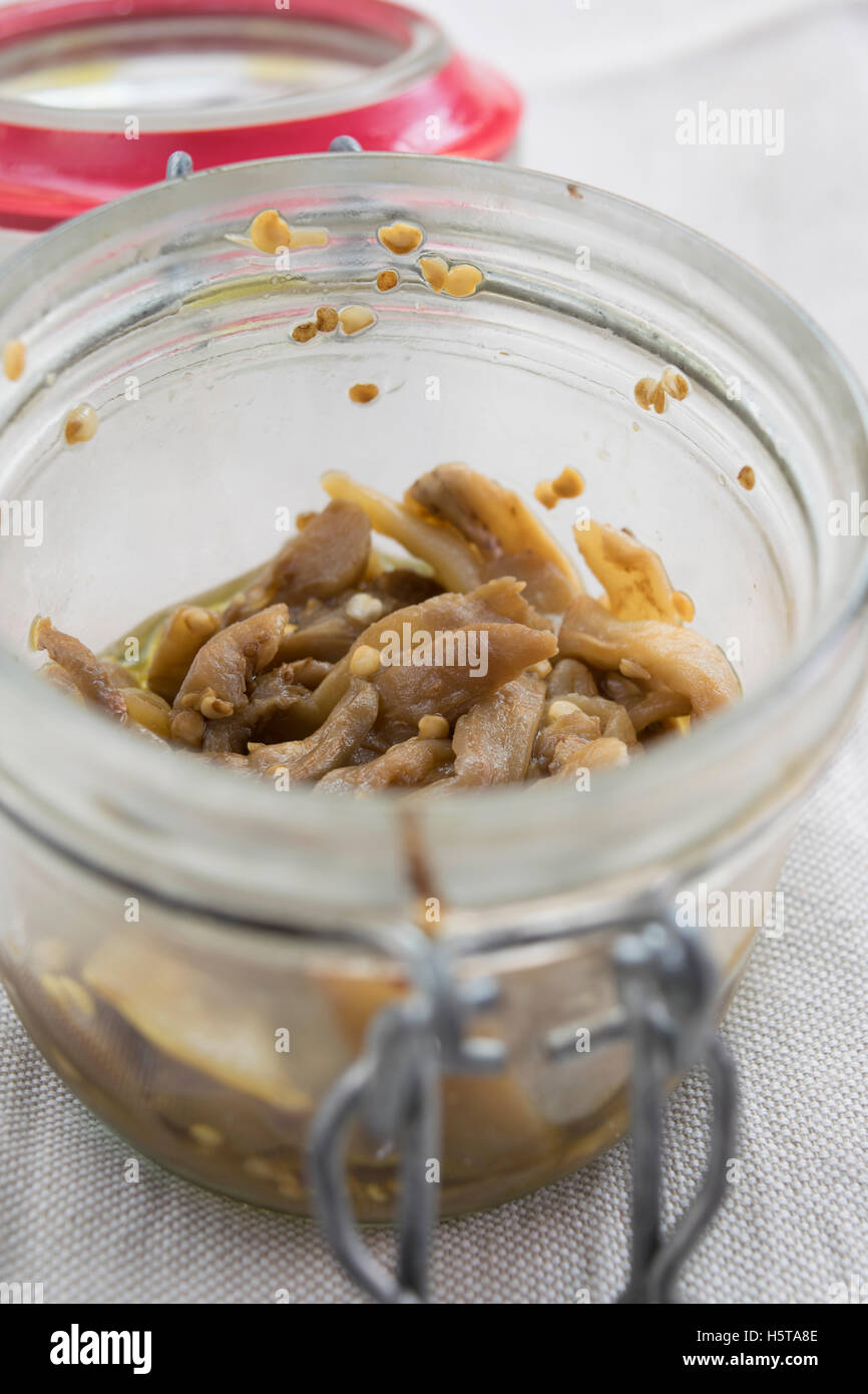 In casa le melanzane sott'olio Foto Stock