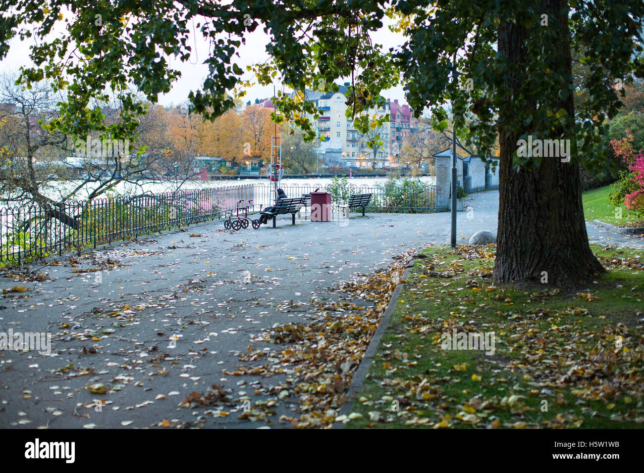 Una signora anziana è in appoggio su un banco da parte del grande albero e acqua. Foto Stock