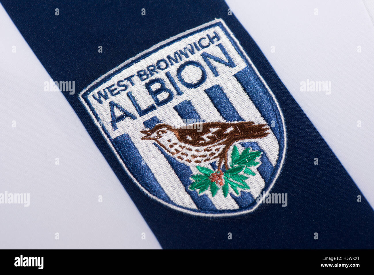 Premier League West Bromwich Albion football club badge Foto Stock