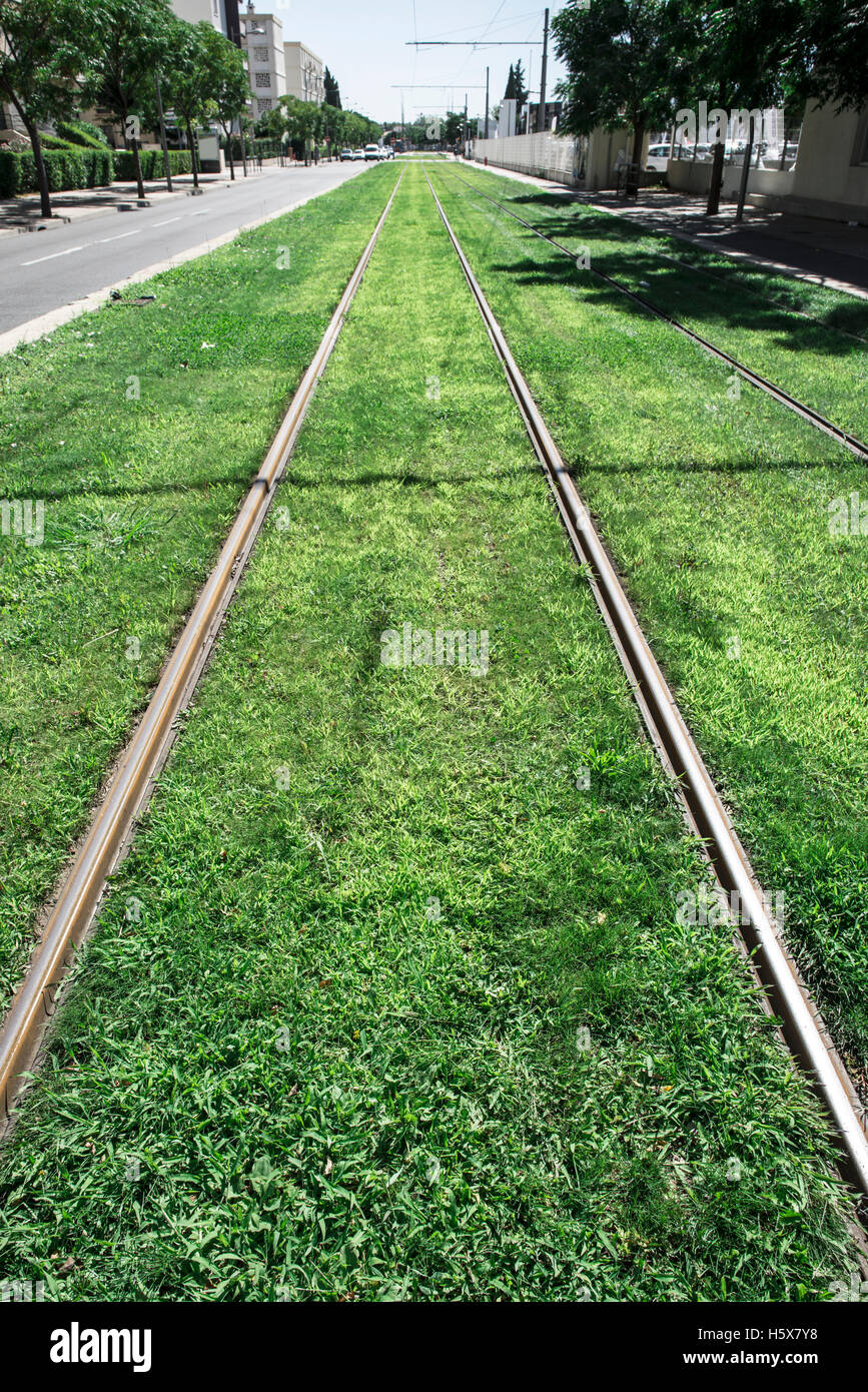 Linee tranviarie e prato verde in città Foto Stock