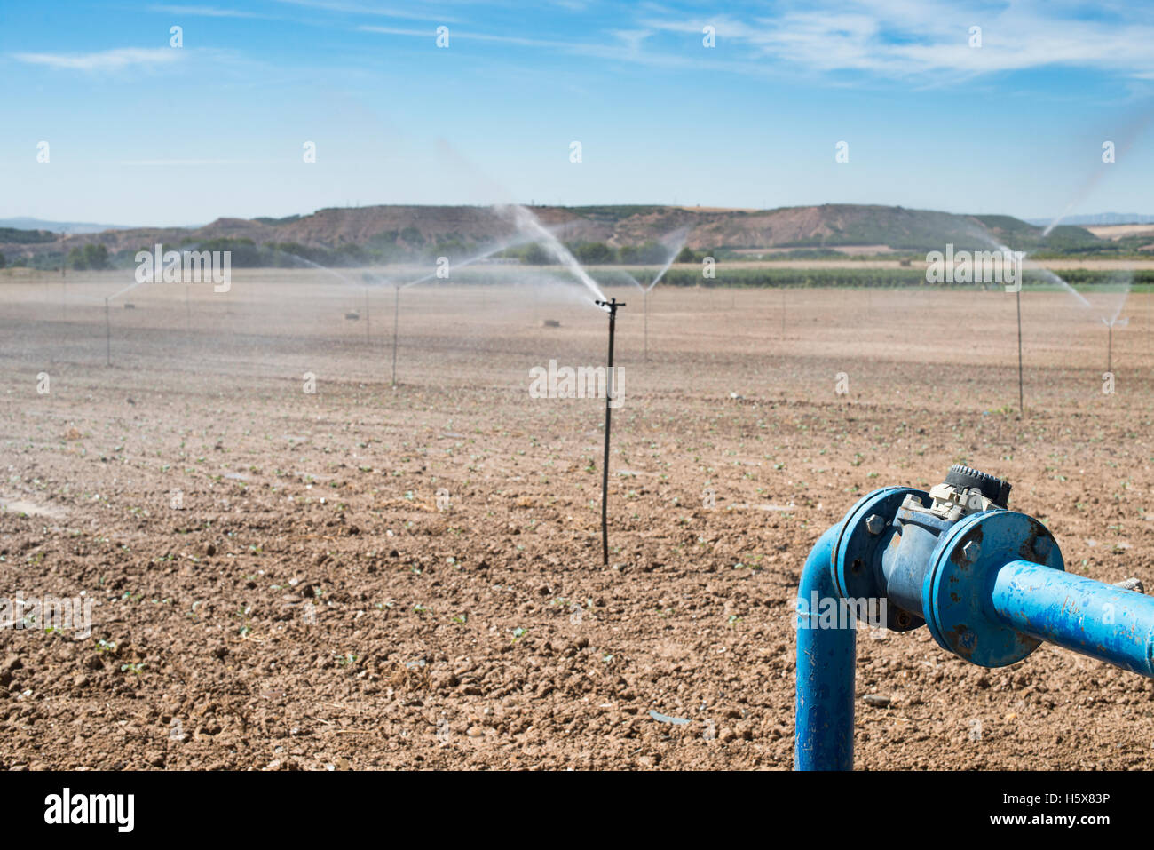 Agricoltura tubi e acqua di rubinetto per impianti di irrigazione Foto Stock