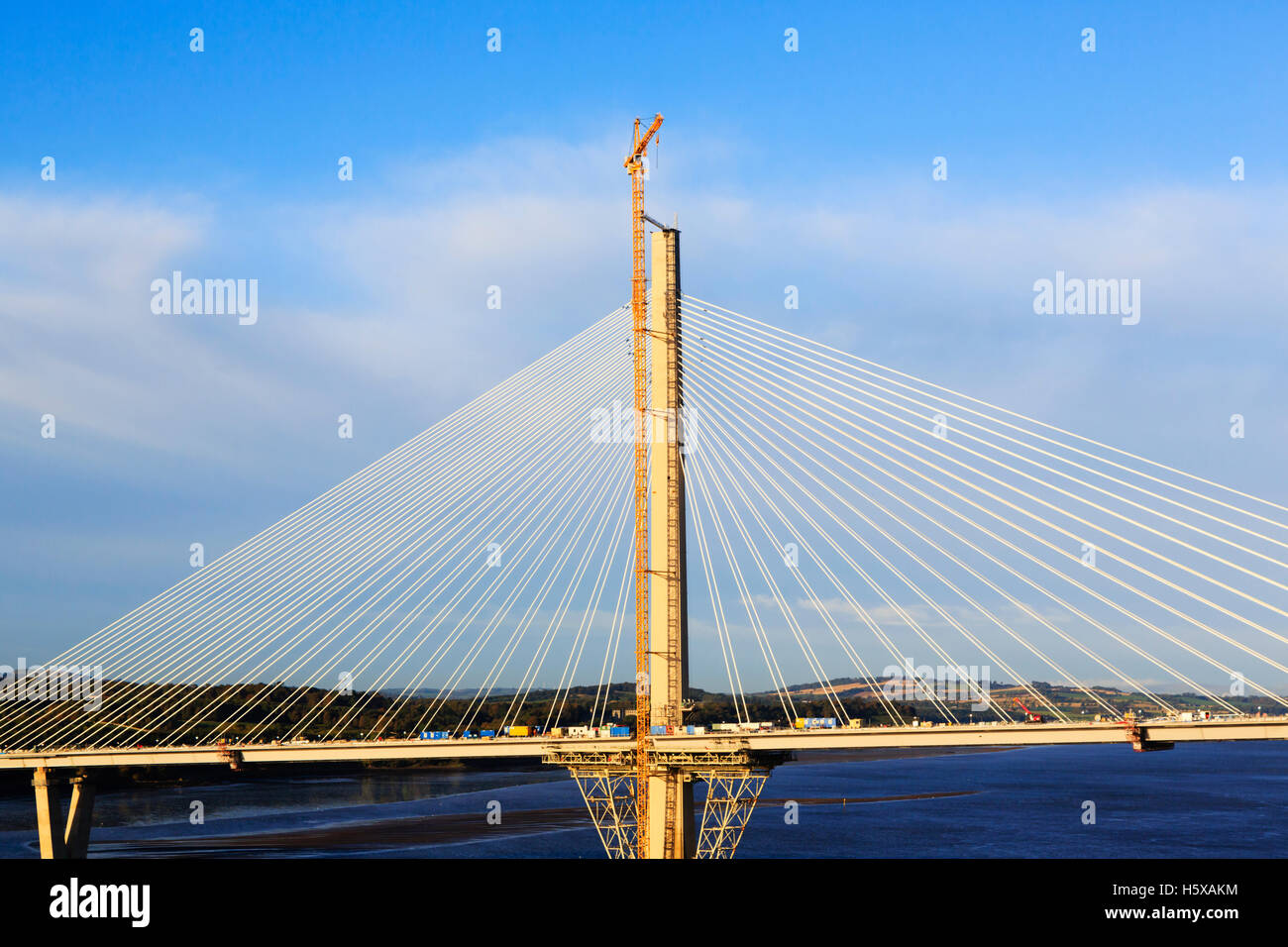 Lavori di costruzione del nuovo Firth of Forth Queensferry attraversando ponte stradale. Edimburgo, Scozia Foto Stock