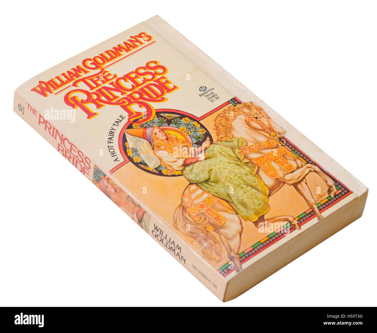 La Principessa Sposa di William Goldman Foto Stock