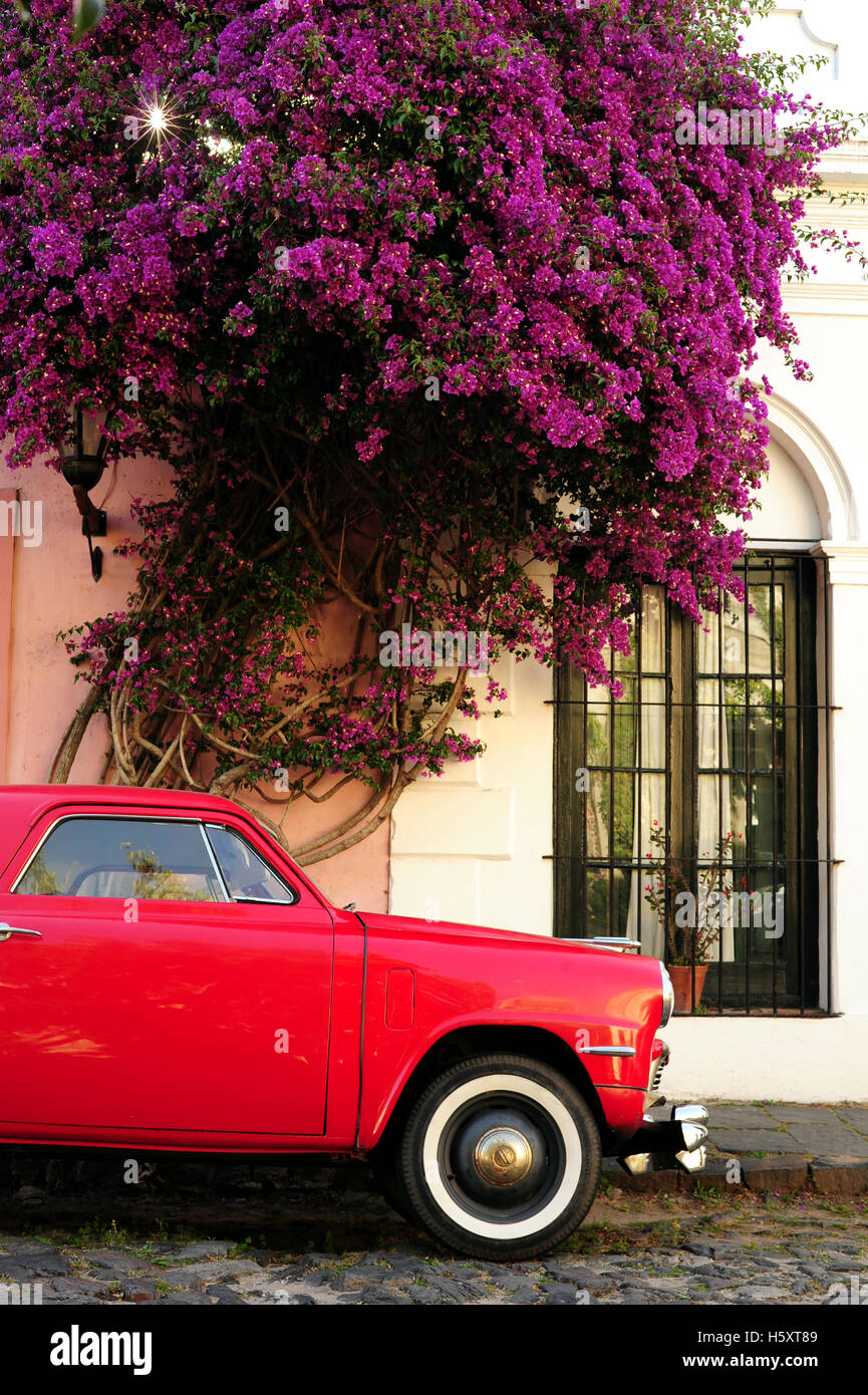 Auto d'epoca in una strada tranquilla di Colonia del Sacramento, Uruguay Foto Stock