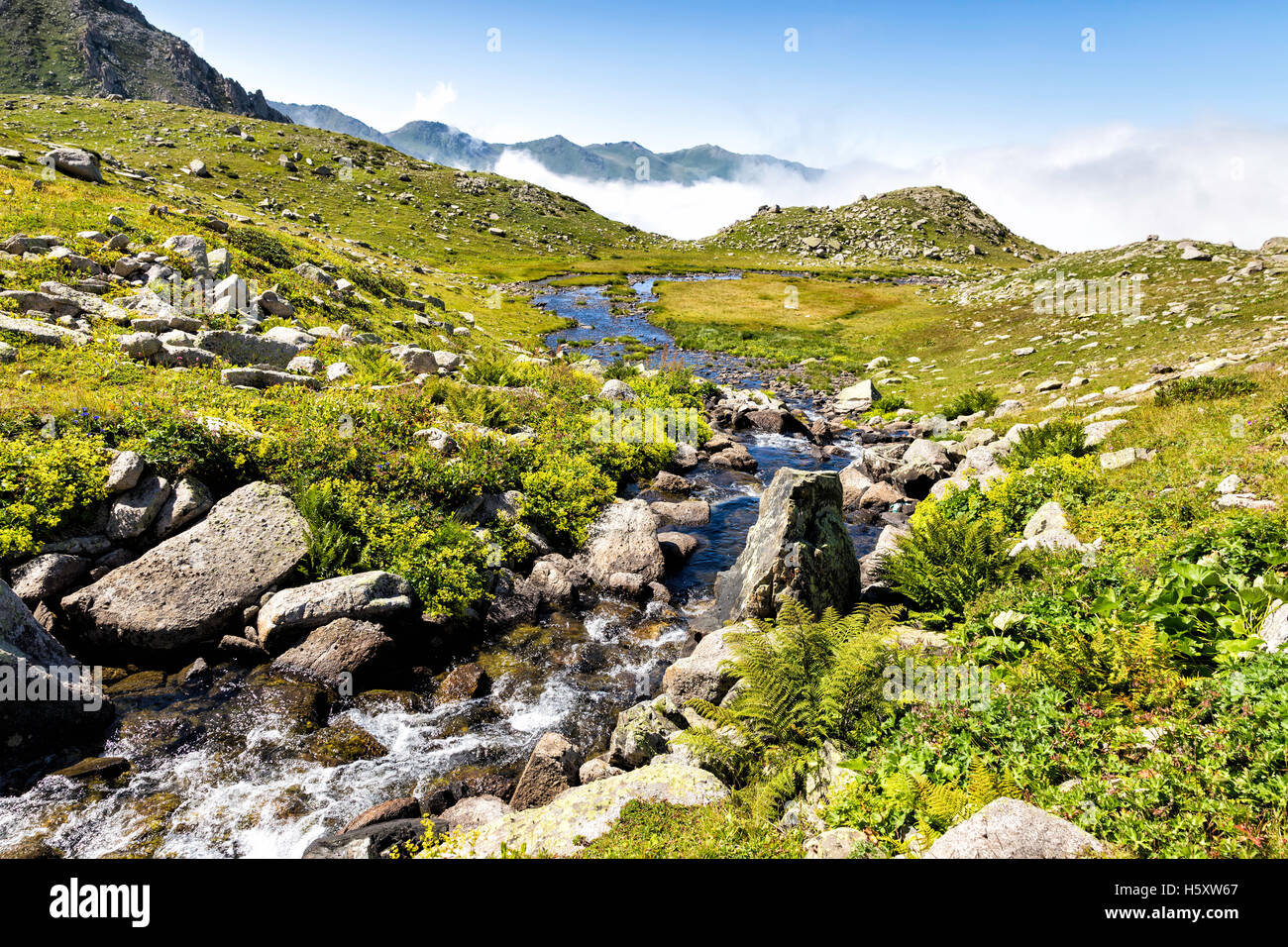 Flusso che scorre tra le rocce con foggy Kackar montagne sullo sfondo di picco Foto Stock