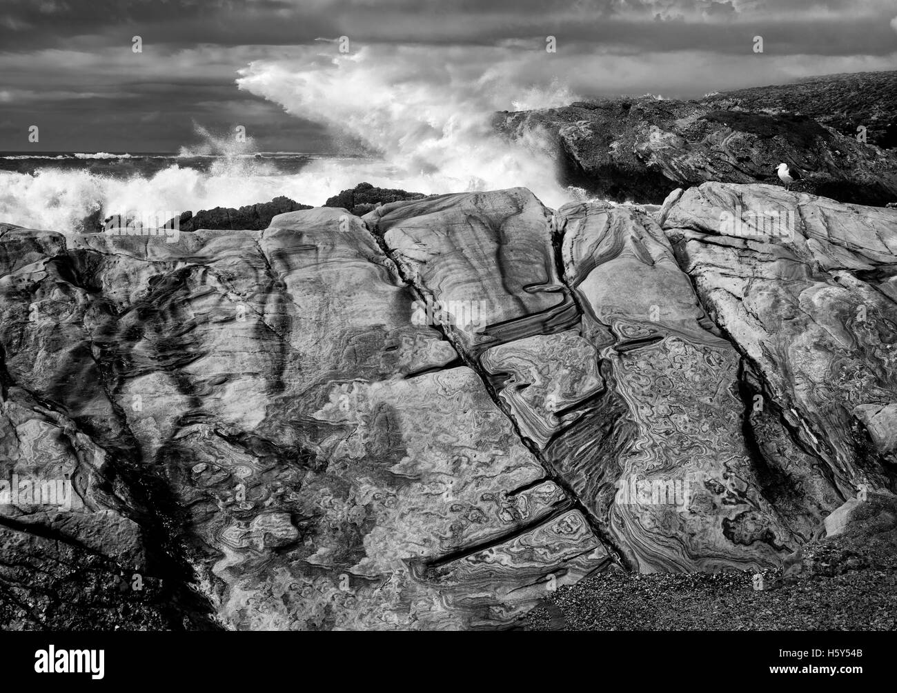 Colorful rocce di arenaria e le onde. Point Lobos State Reserve. California Foto Stock