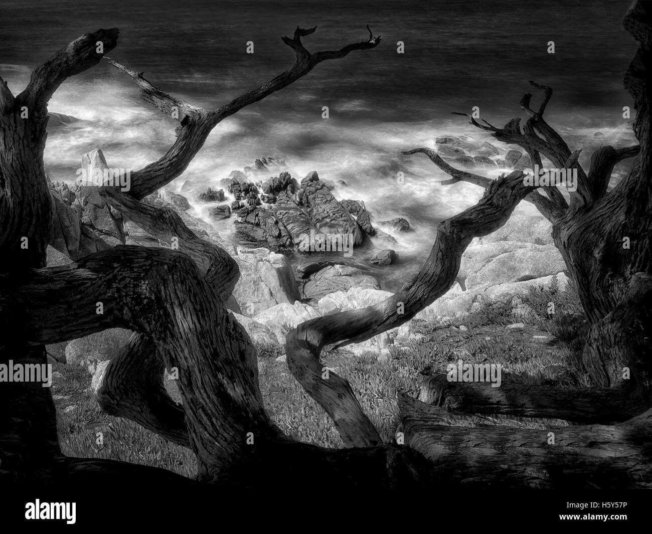 Vista dell'oceano dal 17 Mile Drive.. Big Sur Costa. California Foto Stock