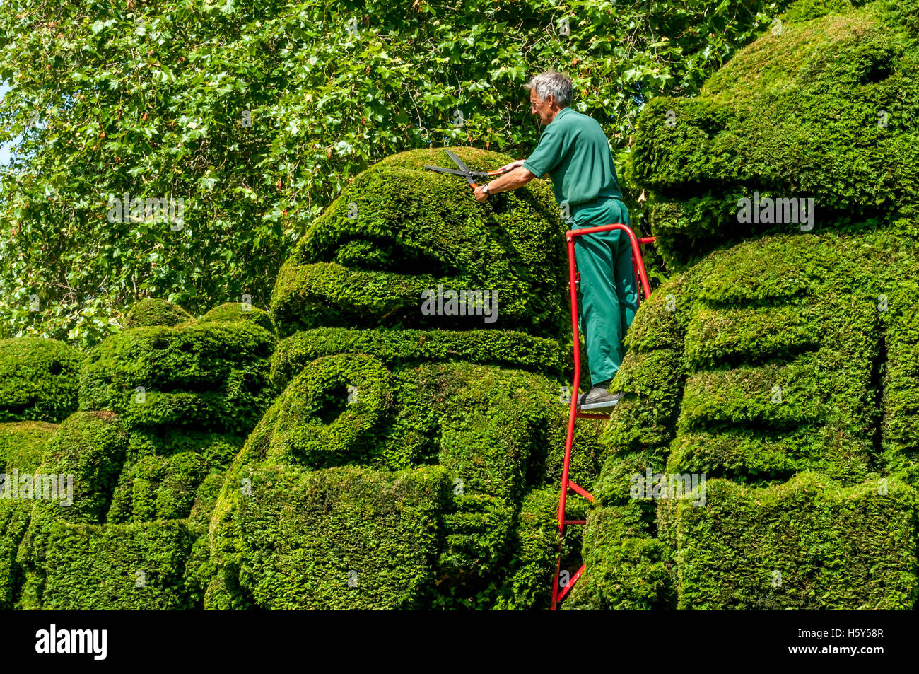 Il capo giardiniere Chris Riley rifila il Queen's bestie, topiaria da un display di bussole a Hall posto a Bexley Foto Stock