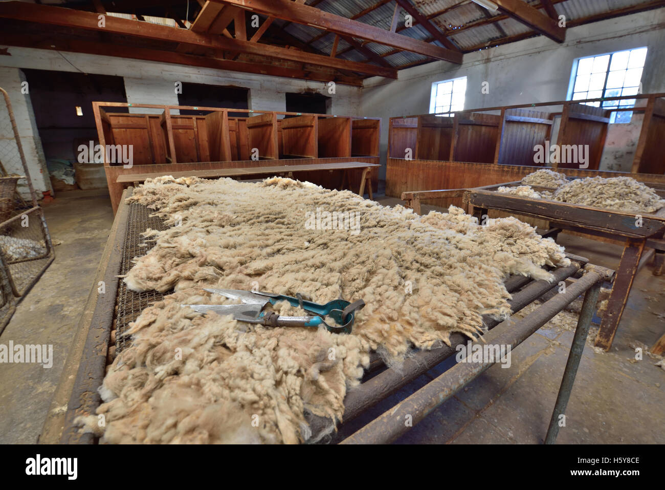 Una pecora capannone deviatore Foto Stock