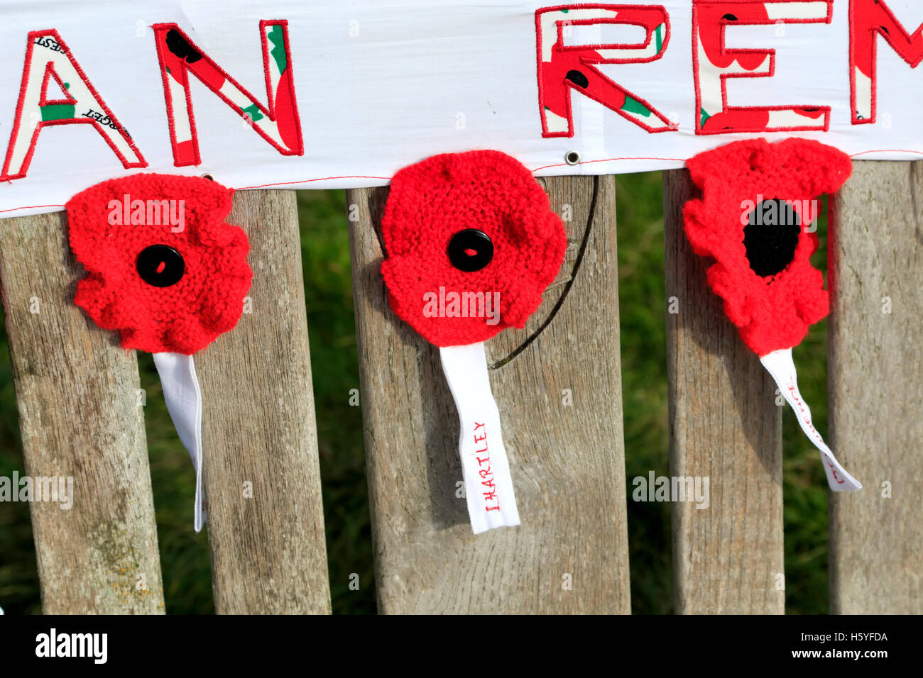 Battlesbury Hill, Warminster, Wiltshire, Regno Unito. 21 ott 2016. Un banco di memorial situato su Battlesbury collina sopra la città di guarnigione di Warminster nel Wiltshire che è dedicato a ricordare e onorare i membri del reggimento dello Yorkshire che hanno fatto il sacrificio estremo mentre in servizio in Afghanistan, è stata recentemente adornata con un banner che dice che "ogni uomo ricordato' e dodici papaveri in maglia per ogni soldato caduto come un omaggio di residente locale Lesley Fudge Credito: Andrew Harker/Alamy Live News Foto Stock