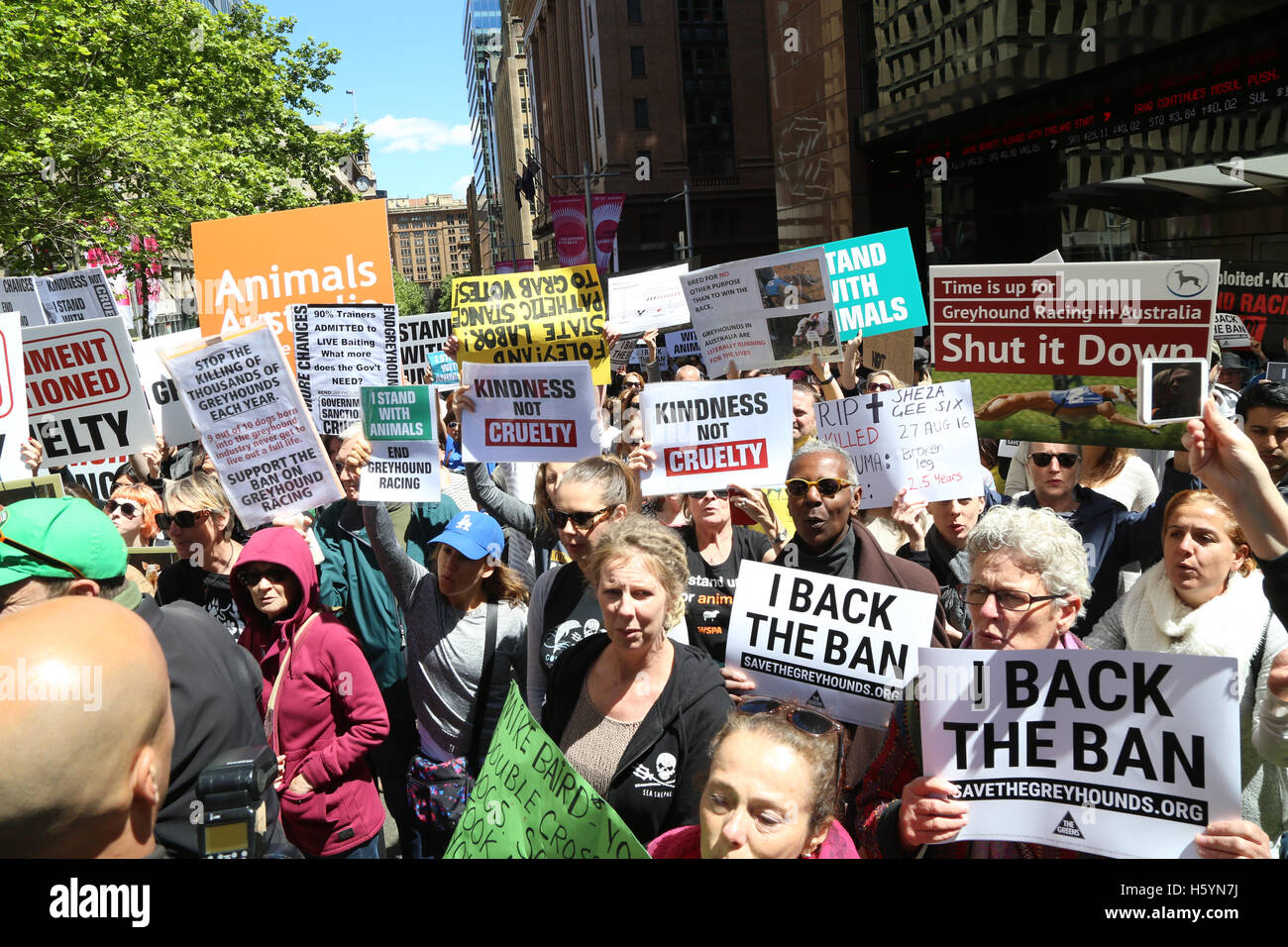 Sydney, Australia. Il 23 ottobre 2016. È stato un rally svoltasi a Martin Place a seguito del NSW membro Premiers torna giù sulla prevista il Greyhound Racing divieto. Essi accusano potenti interessi dei media di avere un influenza nella decisione di invertire il divieto previsto. Credito: Richard Milnes/Alamy Live News Foto Stock