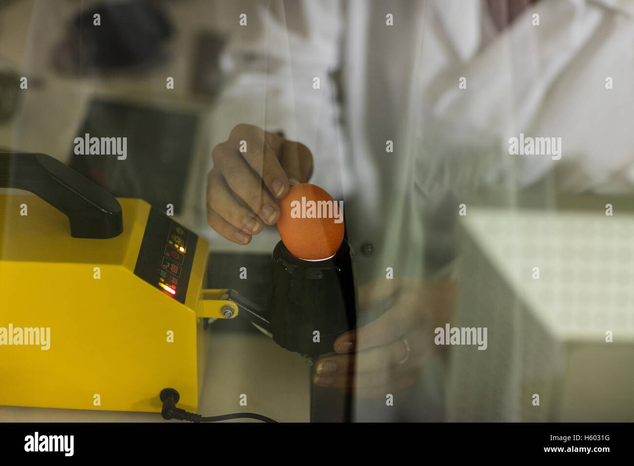 La sezione centrale del personale femminile esaminare uovo su digitale monitor uovo Foto Stock