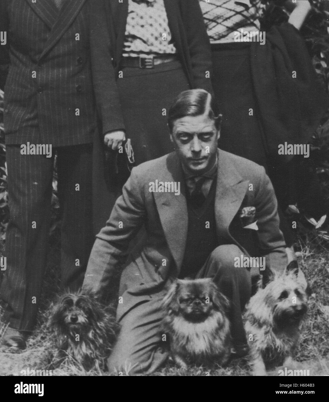 Edward, Principe di Galles, futuro re Edward VIII (1894-1972) con i suoi cani Foto Stock