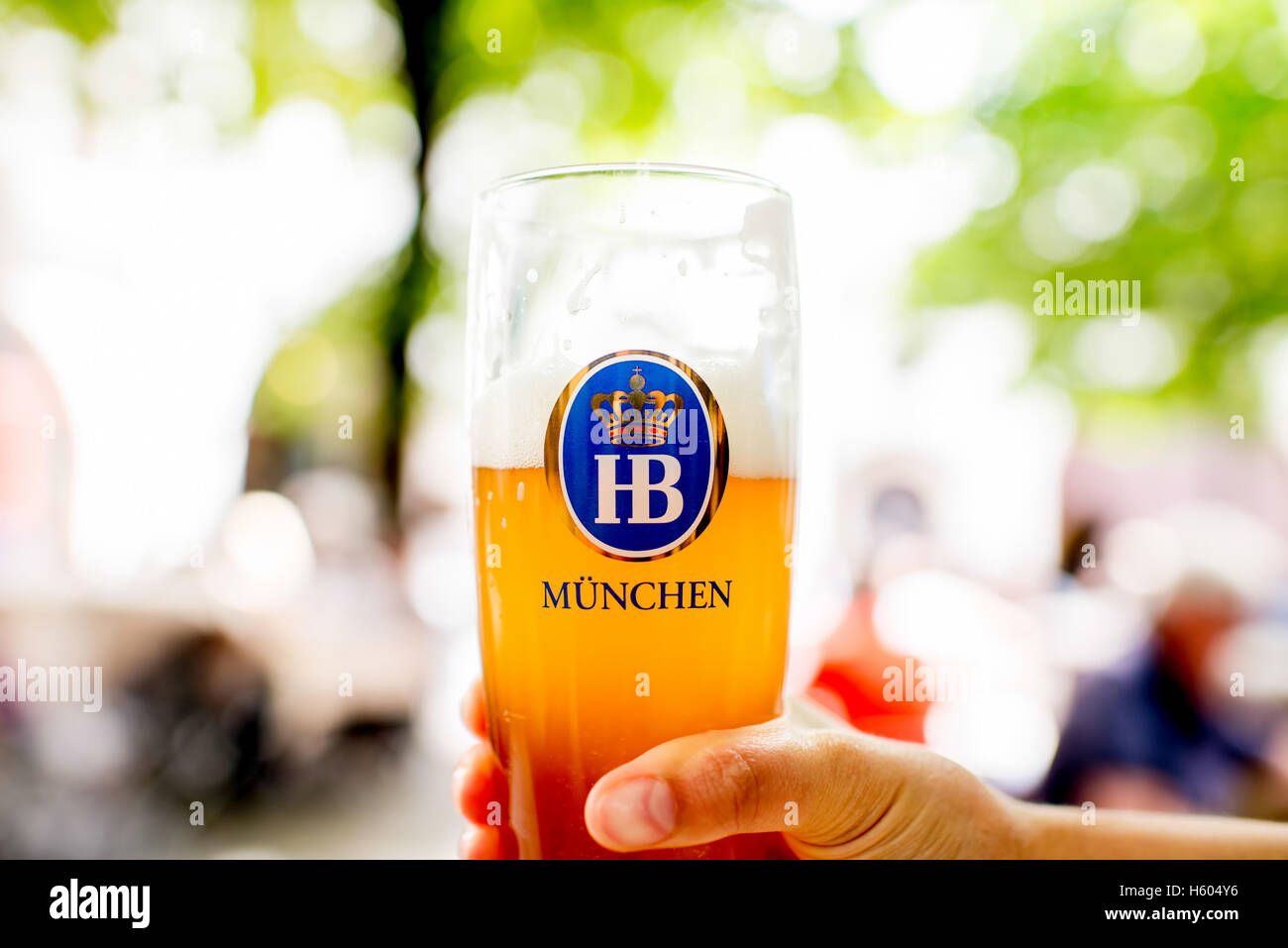 Hofbrauhaus birra in vetro Foto Stock