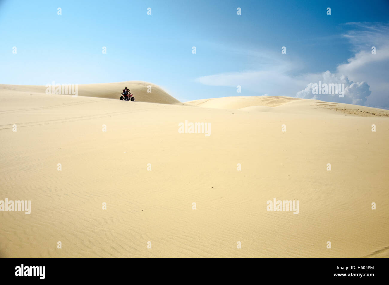 Quad Biking attraverso dune di sabbia del deserto Foto Stock