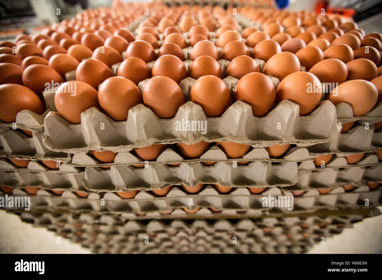 Pila di scatole di cartone con uova Foto Stock