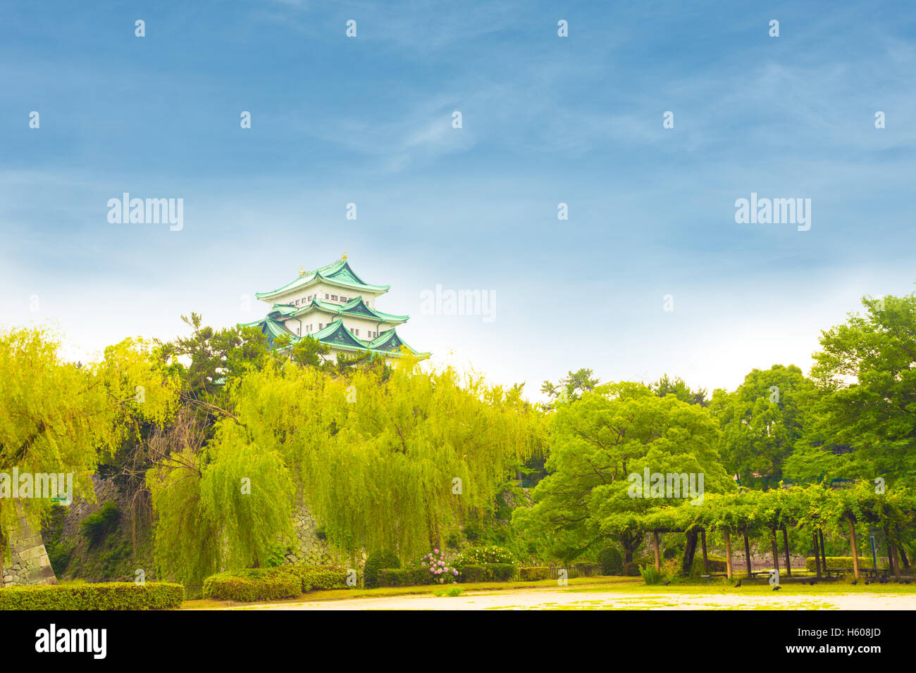 Un bel cielo azzurro giorno sopra il Castello Nagoya roccaforte in un verde treeline in Giappone Foto Stock