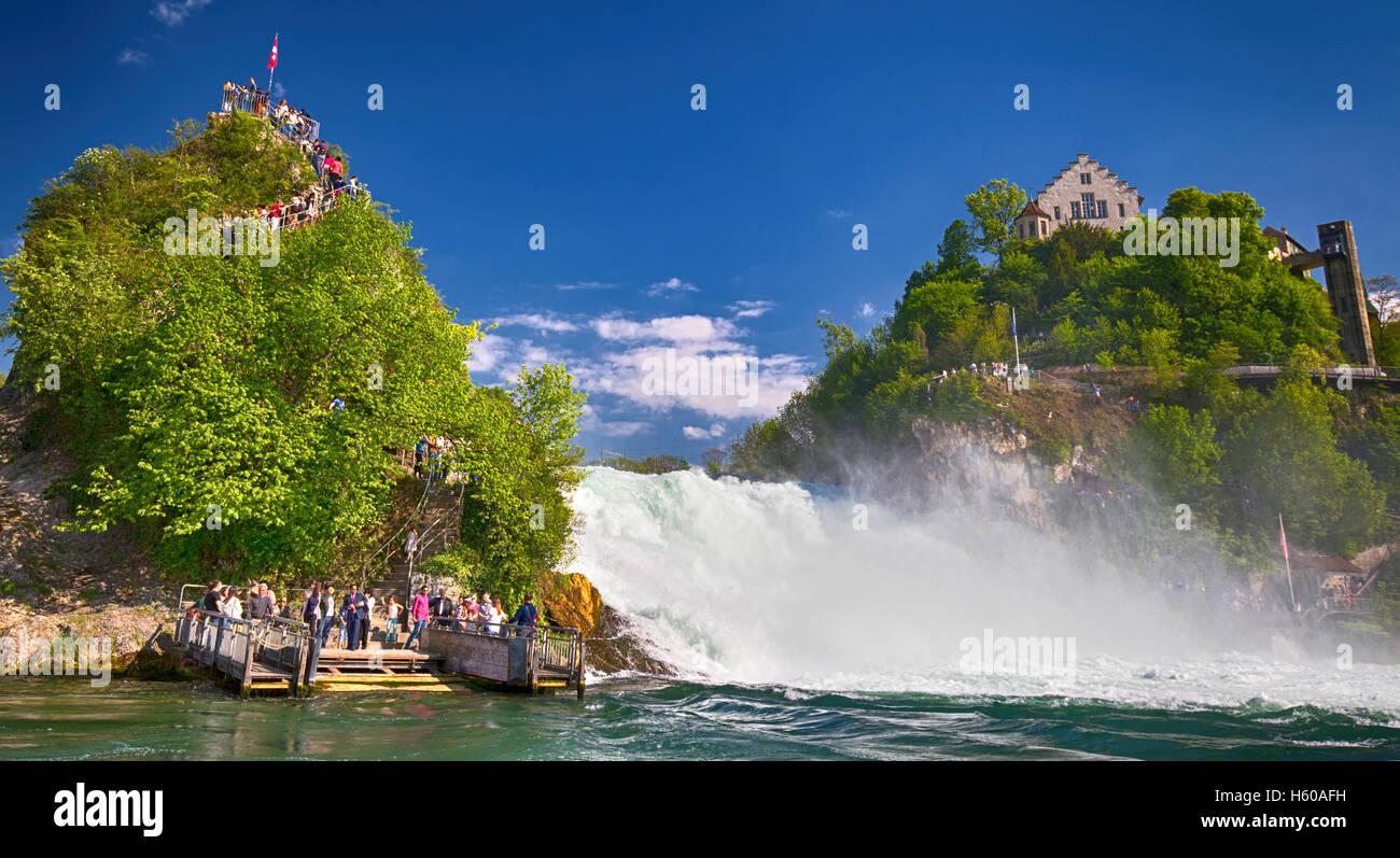 Cascate del Reno, la più grande pianura cascata in Europa vicino Schaffhausen, Svizzera Foto Stock