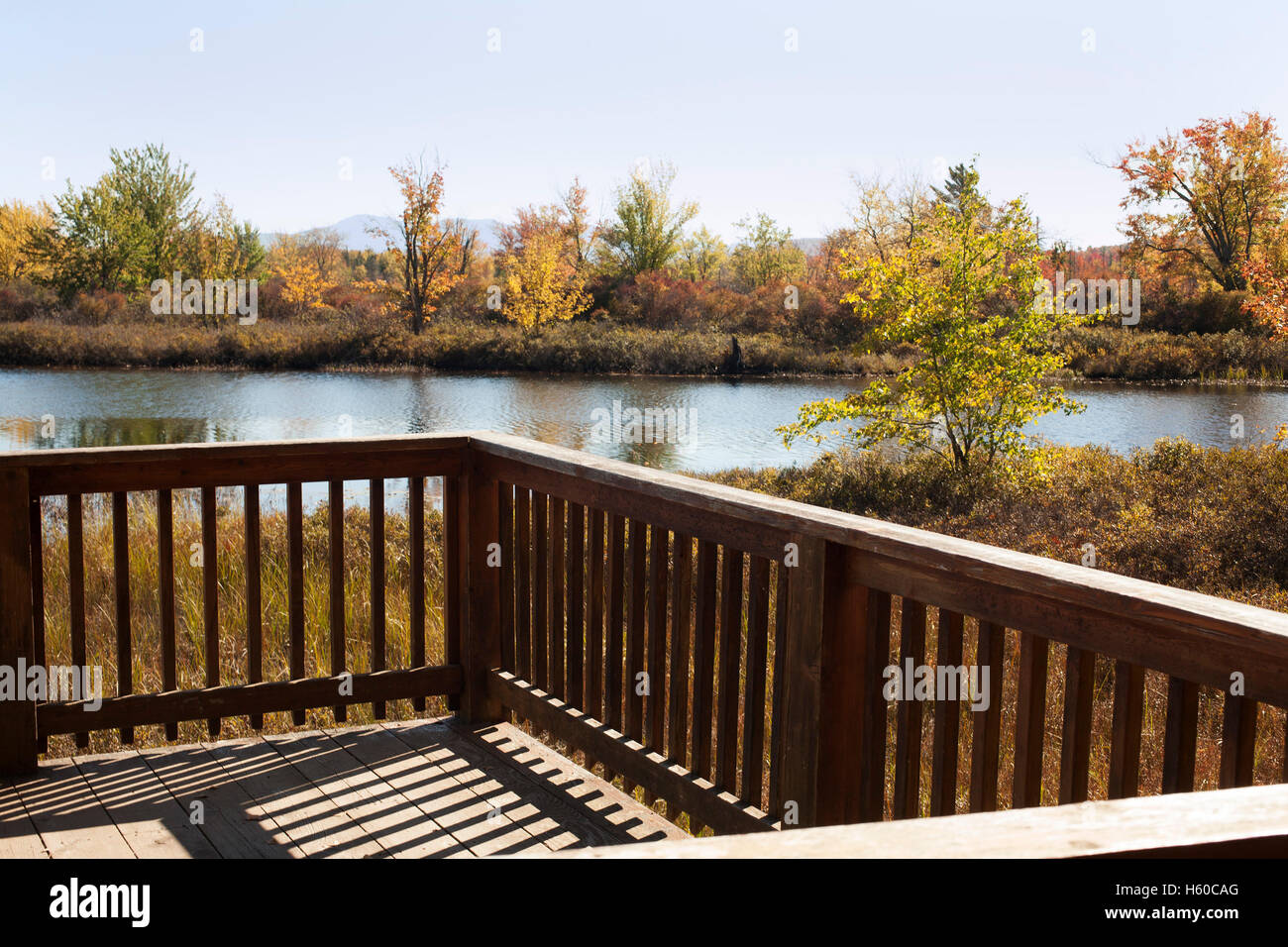 Il punto di vista del supporto di visualizzazione al centro selvatici in New York Adirondacks a Tupper Lake. Foto Stock
