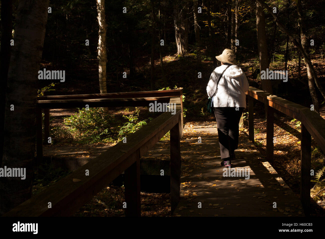 Donna anziana cammina sul sentiero al centro selvatici in New York Adirondacks a Tupper Lake. Foto Stock